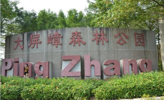 ��ݸ����